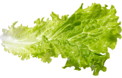 Salade Iceberg